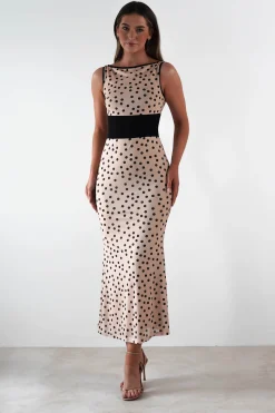 Bianca Polka Dot Mesh Maxi Dress | Beige