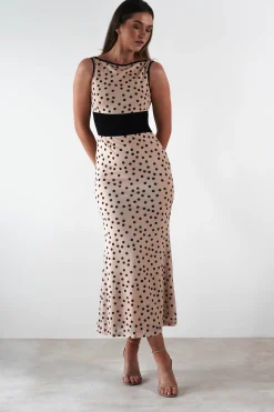 Bianca Polka Dot Mesh Maxi Dress | Beige
