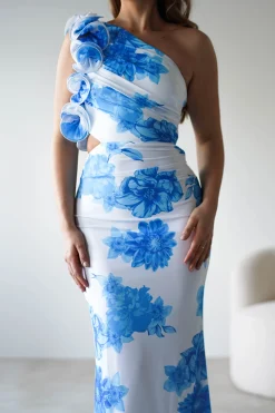 Rhia Ruffle Floral Maxi Dress | Blue/White