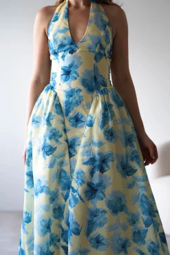 Sabine Floral Bodied Maxi Dress | Yellow/Blue